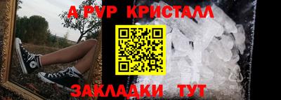прущие грибы Тула